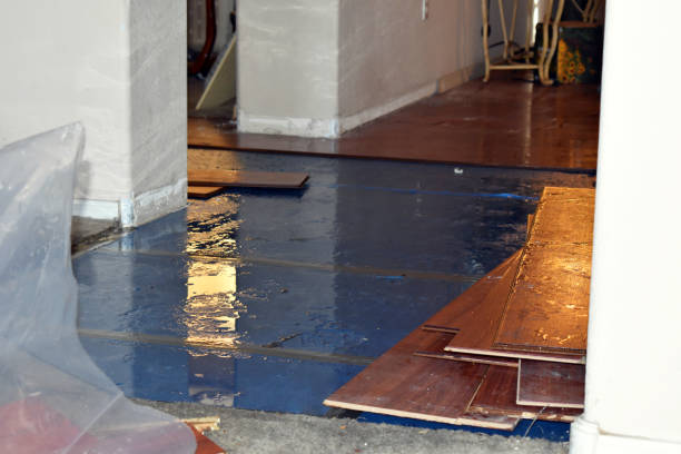 Professional Basement Water Removal technician working in South River, NM